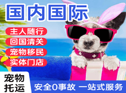 梅州梅县航空快运国际宠物托运 【国